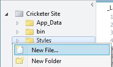 Adding File in WebMatrix